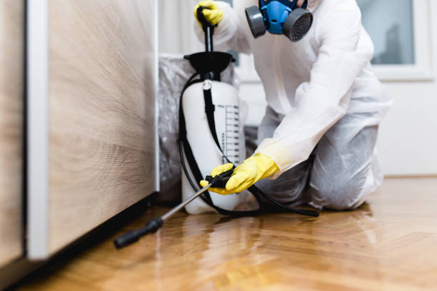 Best Affordable Pest Control Services  in Vineyard, CA