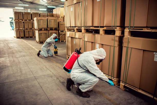 Best Cockroach Control Services  in Vineyard, CA