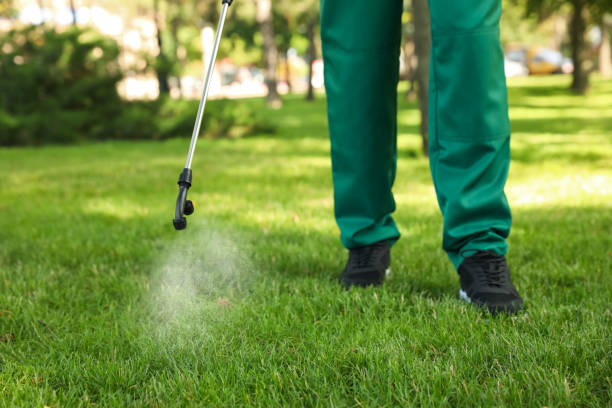 Best Ant Control Services  in Vineyard, CA