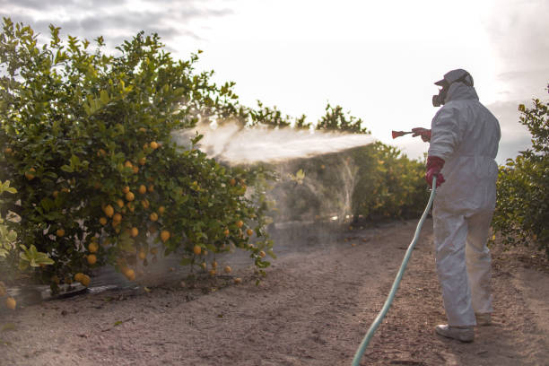 Bird Control in Vineyard, CA