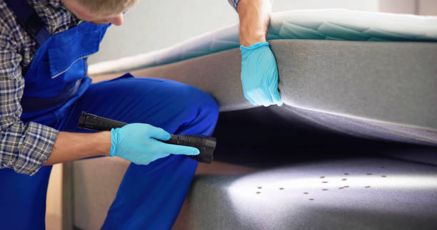 Best Flea Control Services  in Vineyard, CA