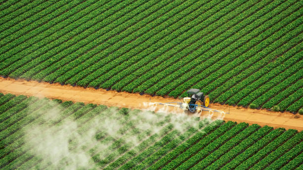 Pest Control for Restaurants in Vineyard, CA