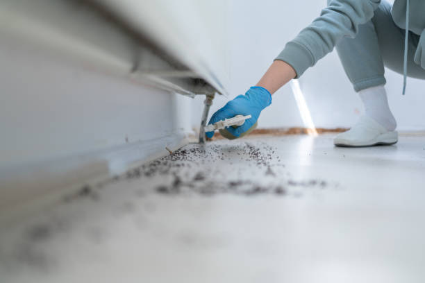 Reliable Vineyard, CA Pest Control Solutions